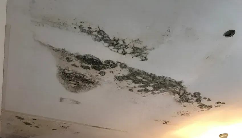 Travaux après sinistres, pas de panique!